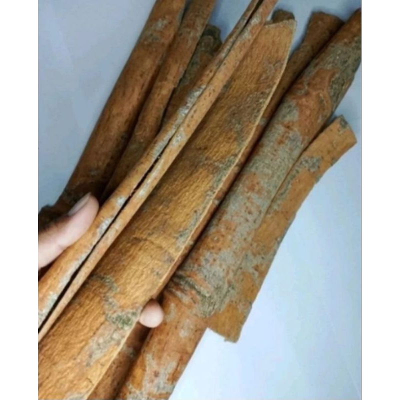 

Kayu Sintok Kering Asli 250gr