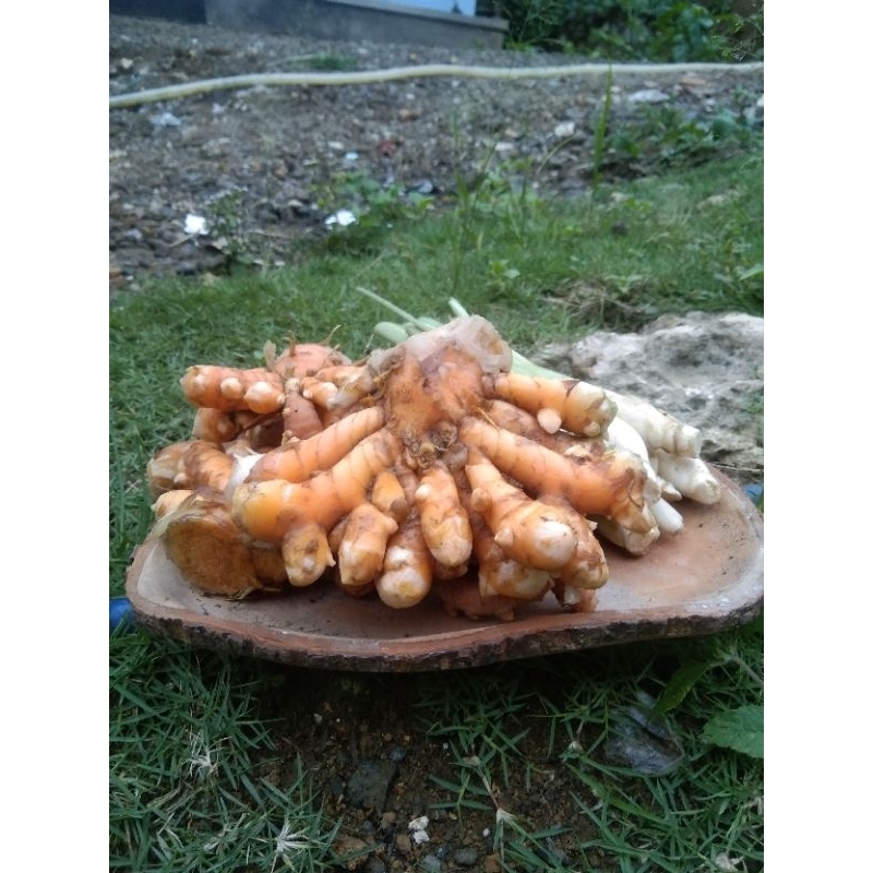 

kunyit kunir koneng 1kg