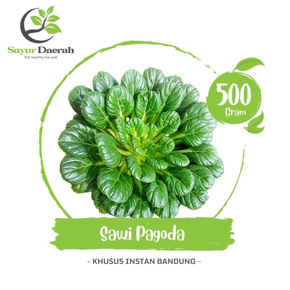 

Sawi Pagoda Organik 500 Gr | Sayur Daerah