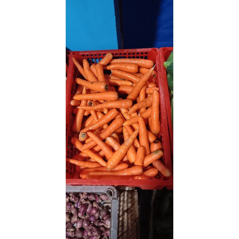 

Wortel Lokal Segar Manis 1 kg