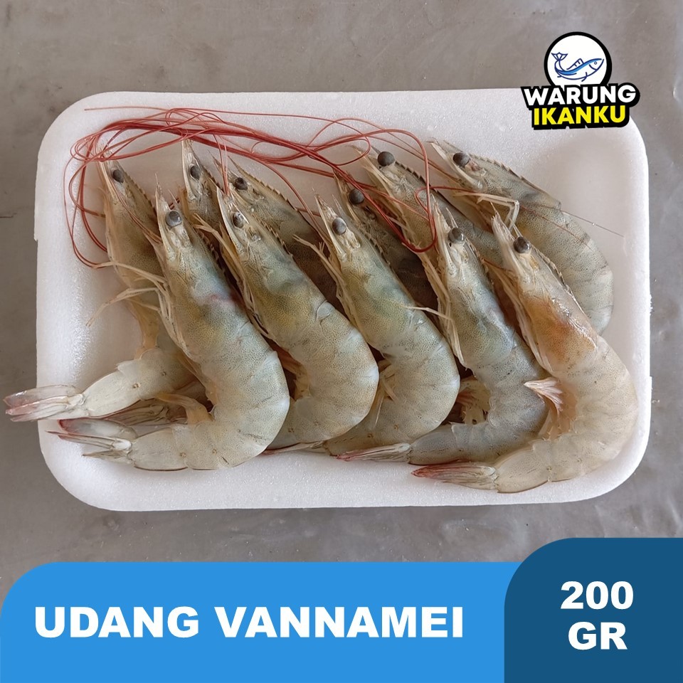 

Udang Vannamei Med-Big