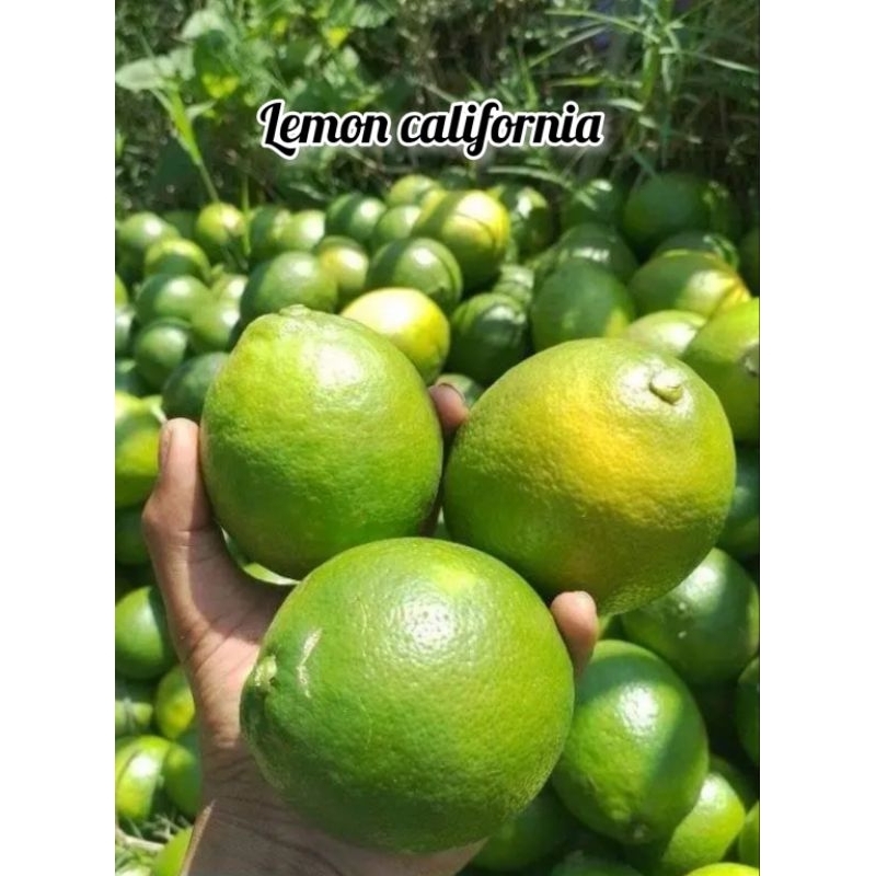 

Lemon California 1kg