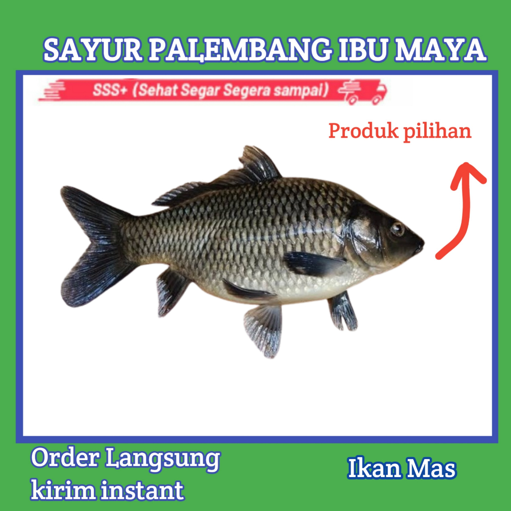 

Ikan Mas segar - Sayur palembang ibu maya