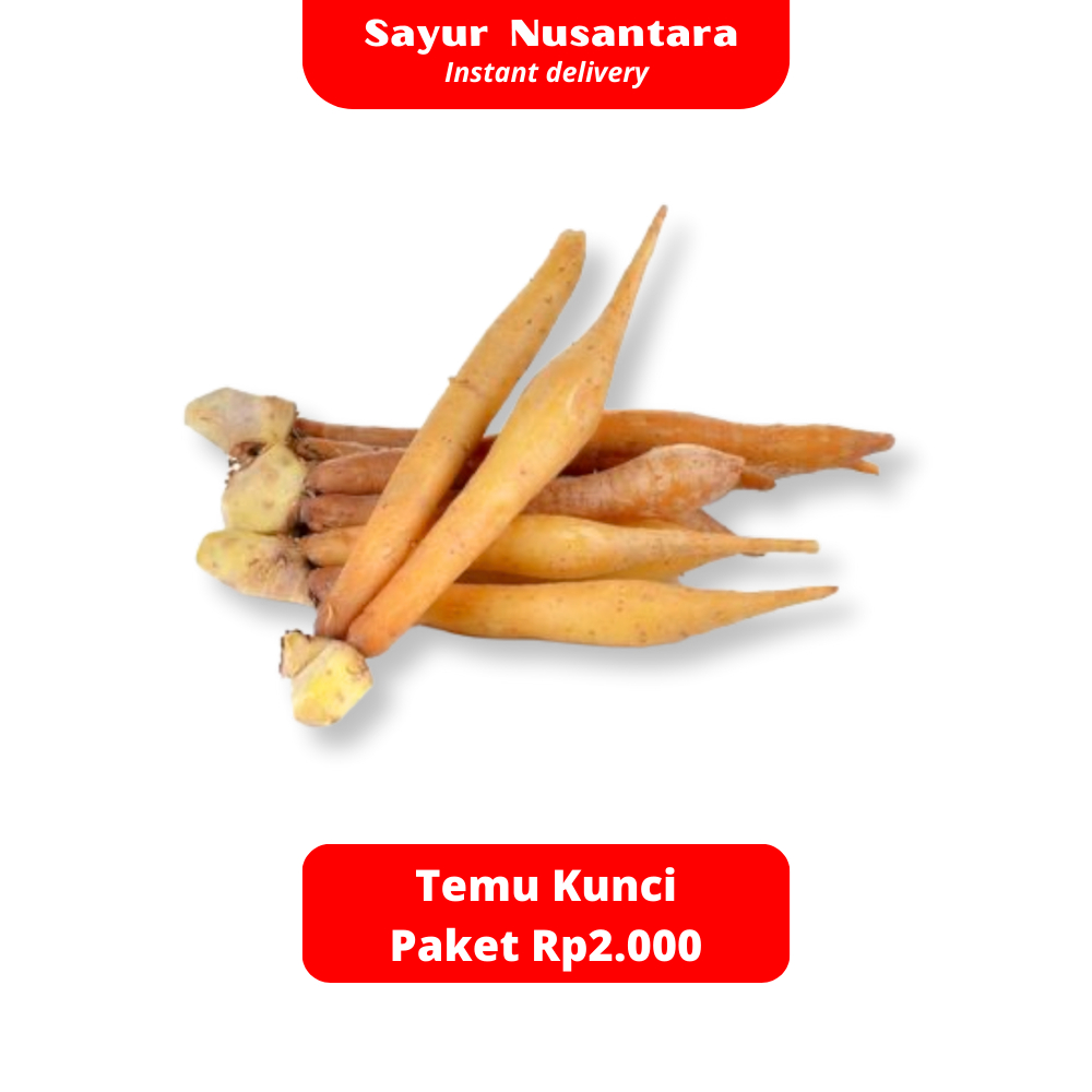 

Temu Kunci Paket 2000 - Sayur Nusantara