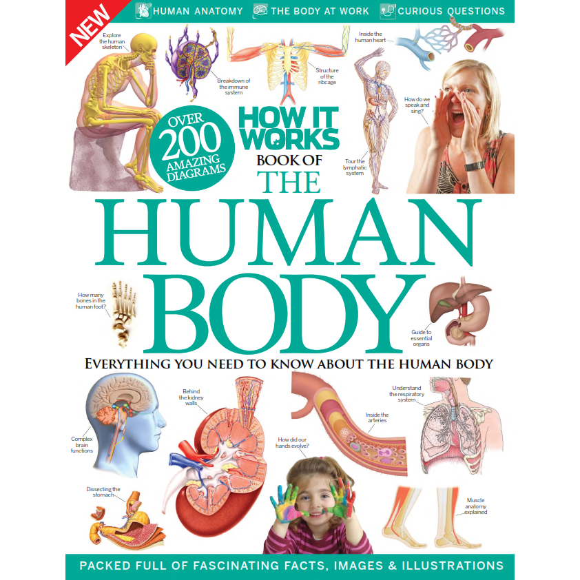 

How It Works Book of The Human Body - Everything You Need to Know about The Human Body