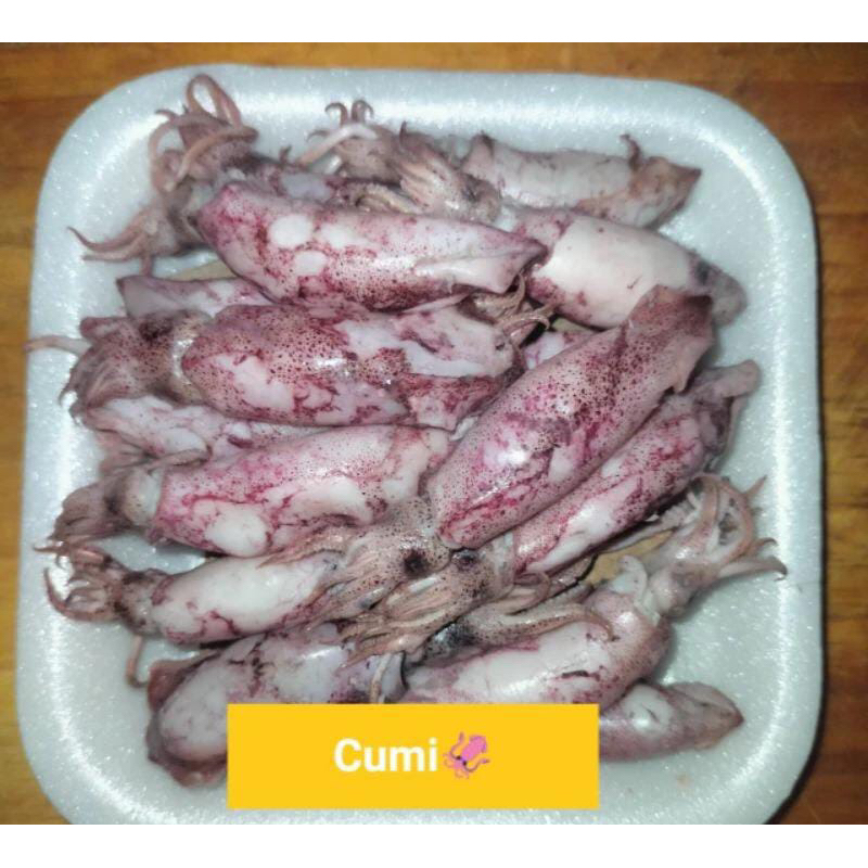 

Cumi asin besar
