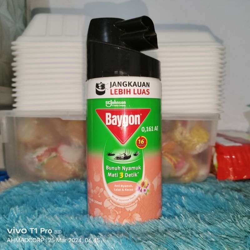 Baygon Cair 200 Ml