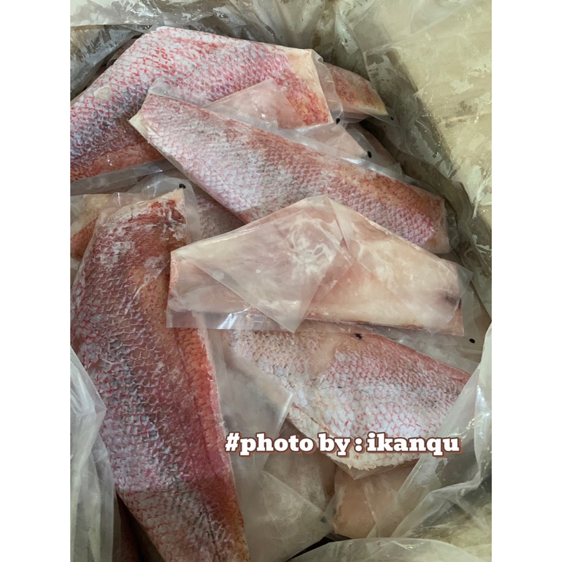 

fillet kakap merah / ikan fillet / fillet kakap 500gr