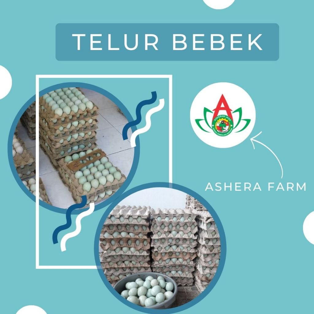 

TELUR BEBEK MENTAH ISI 10 BUTIR