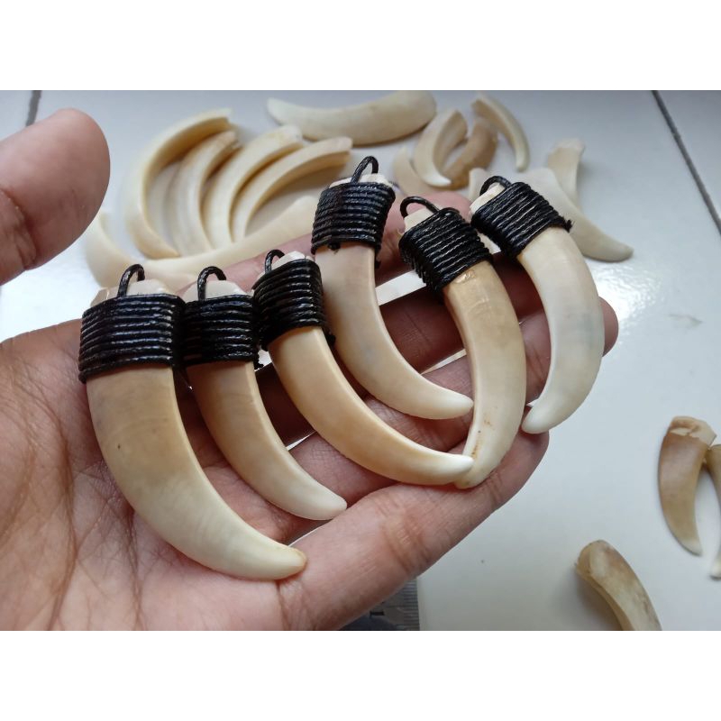 Kalung etnik taring babi mini