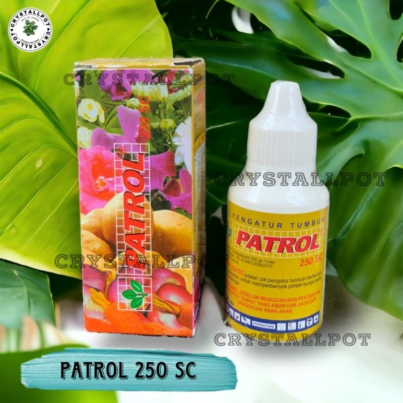 PATROL 250 SC 25 ML ZPT ZAT PENGATUR TUMBUH - PATROL 25 ML KECIL