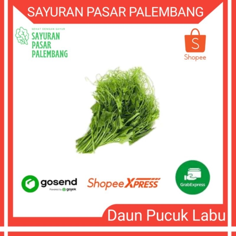 

Daun pucuk labu - Sayuran Pasar Palembang