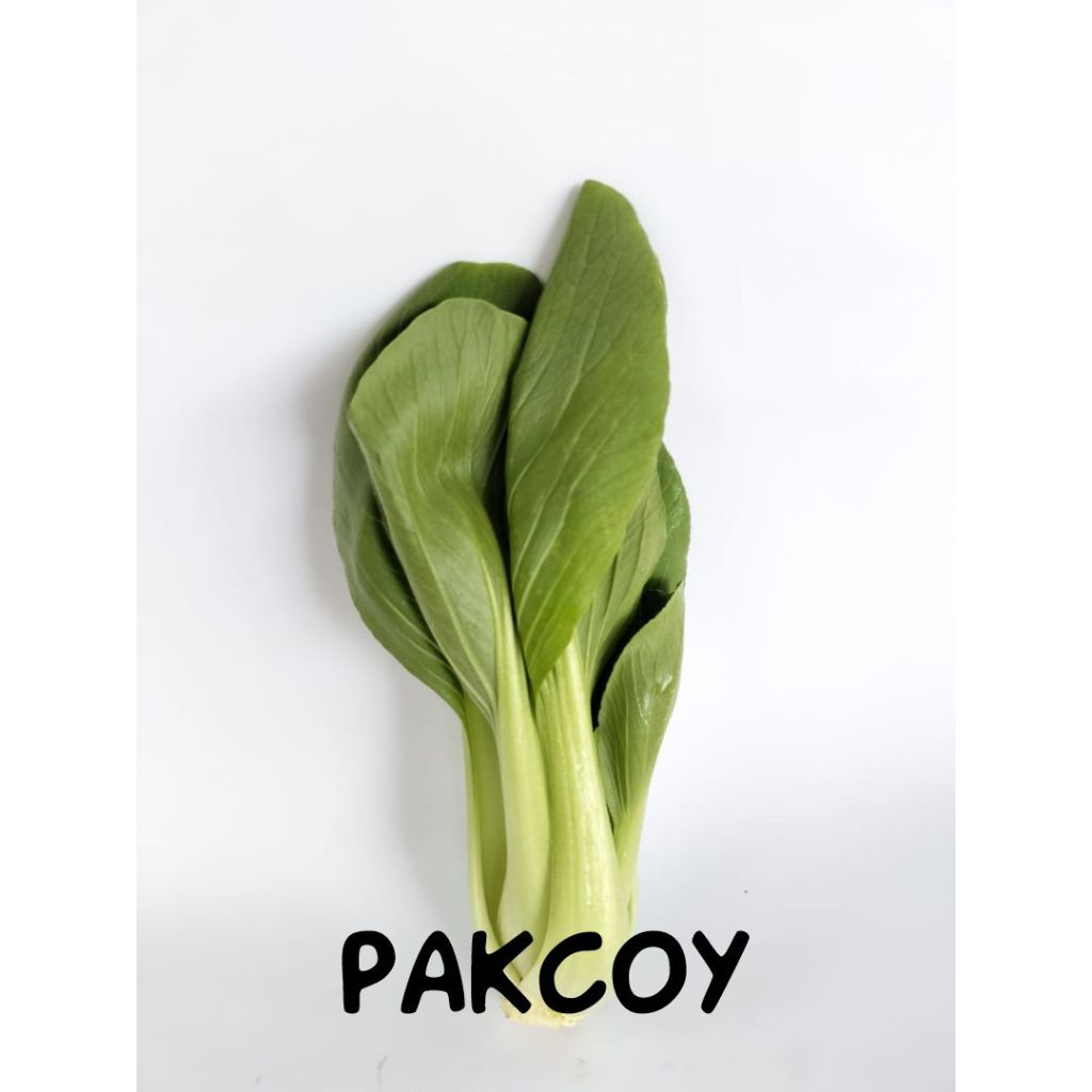 

Sayur Pakcoy Hidroponik - 250gr