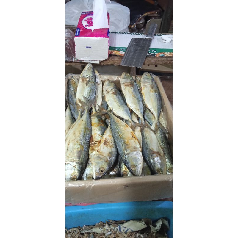 

IKAN ASIN PEDO PEDHO non formalin