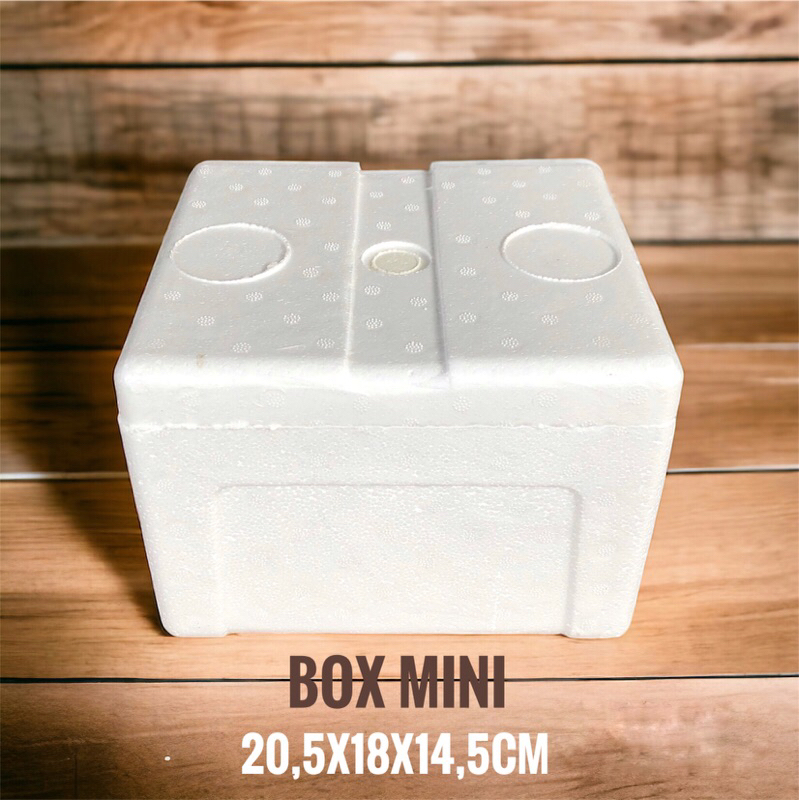 Box Styrofoam kecil mini / styrofoam Box / Box Frozen food / Box packing / Styrofoam box 20 x 18 x 1