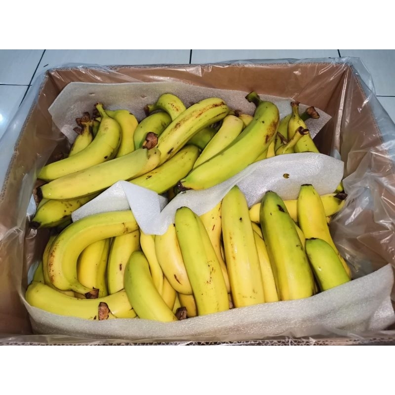 Pisang Sunpride (Cavendish) 1 dus