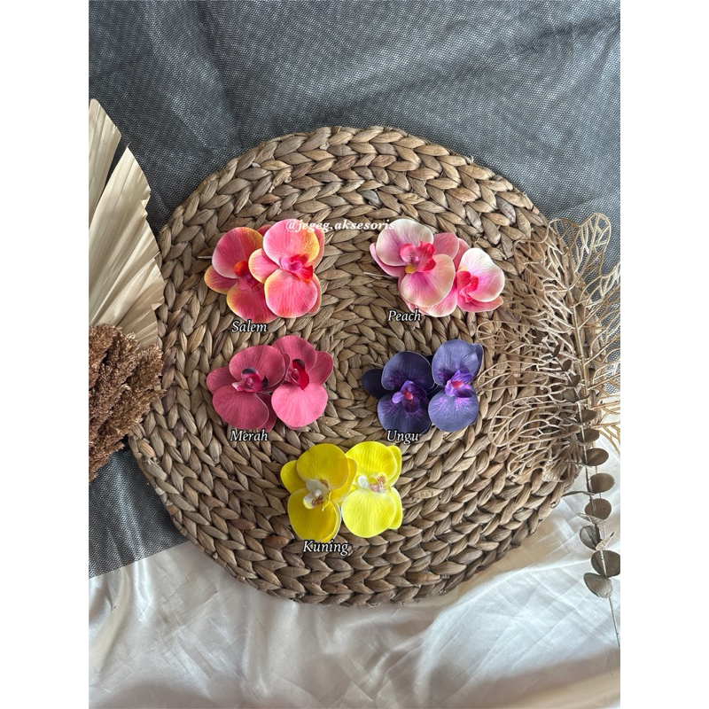 Semanggi Anggrek Bulan / Semanggi Bunga