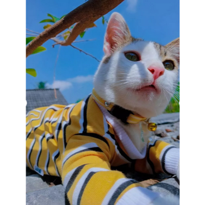 Baju Kucing Anjing Kelinci Monyet - Baju Hewan Peliharaan Tbk