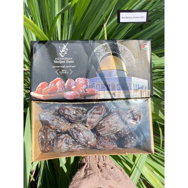 

KURMA MEDJOOL PALESTINIAN SUPER PREMIUM