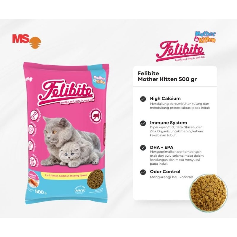 FELIBITE MOTHER KITTEN 500 gram