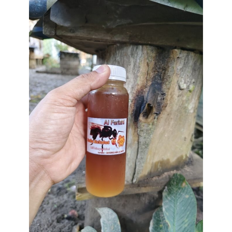 

madu klenceng/ madu kelulut jenis itama 250 ml