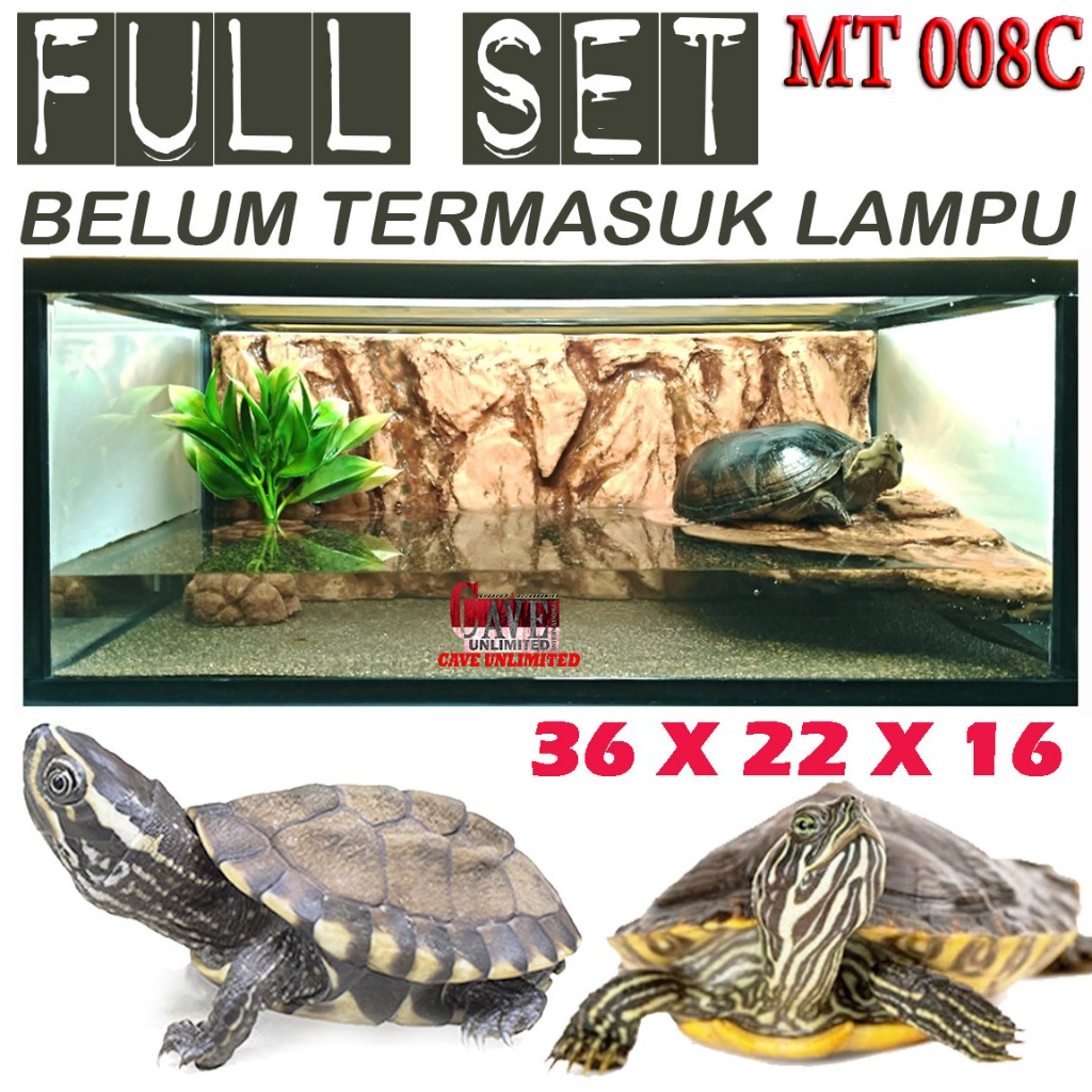 MT008C FULL SET TERRARIUM REPTILIA TURTLE RES BRAZIL CST AST DAMER KURA AMBON BEARDED DRAGON IGUANA 