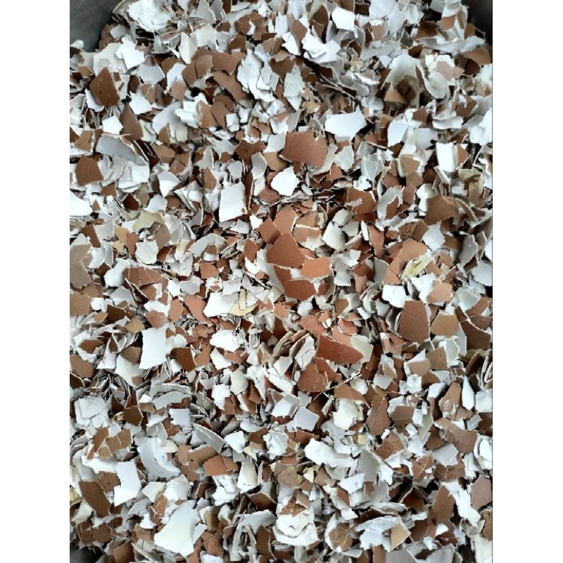 

Cangkang telur 500 gram