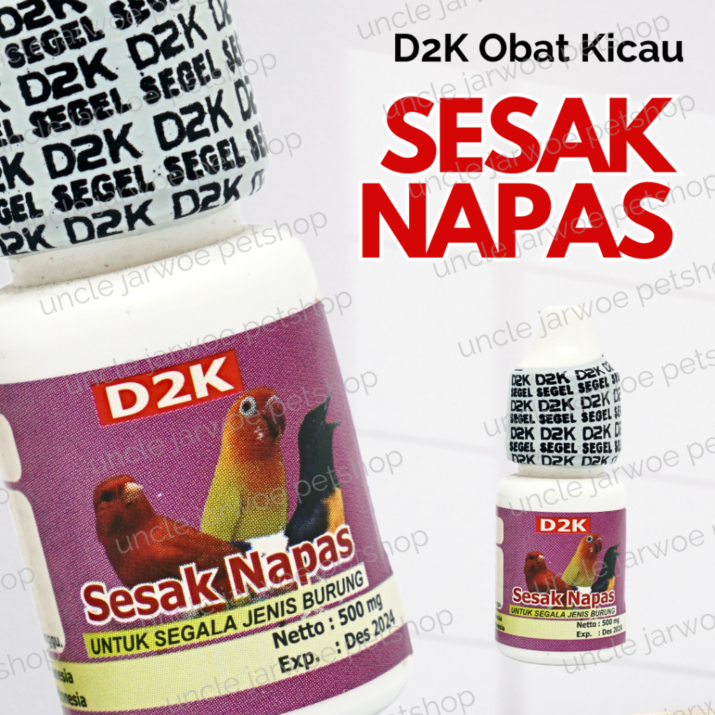 SESAK NAPAS D2K OBAT BURUNG NAPAS PENDEK MACET BUNYI SERAK SUARA HILANG