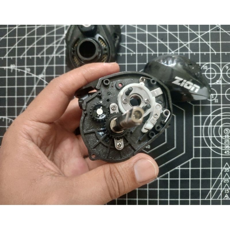Gear Wormshaft set Iroly Zion