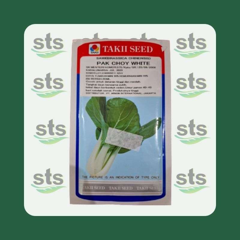Benih Sawi Pak Choy White