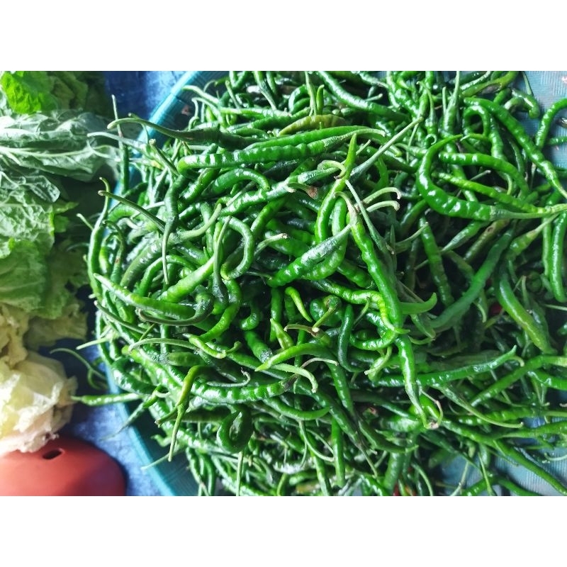 

Cabe hijau 1 kg