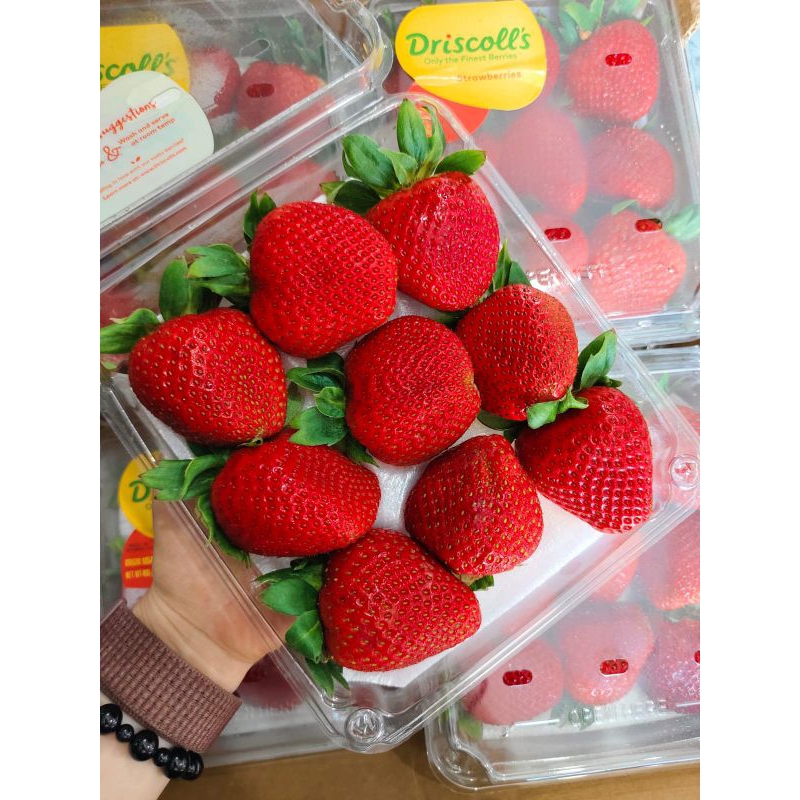 

strawberry driscool usa