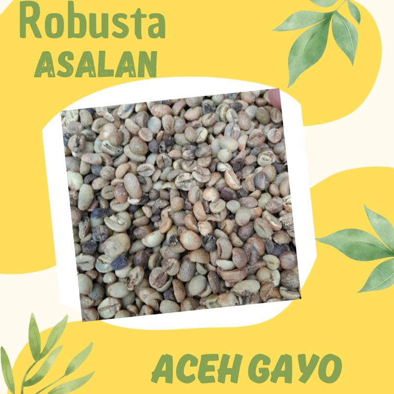 Green Bean / Biji Kopi Mentah Robusta Aceh Gayo - Grade Asalan (1Kg)
