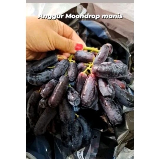 

anggur mondroop /shapire/ anggur jari