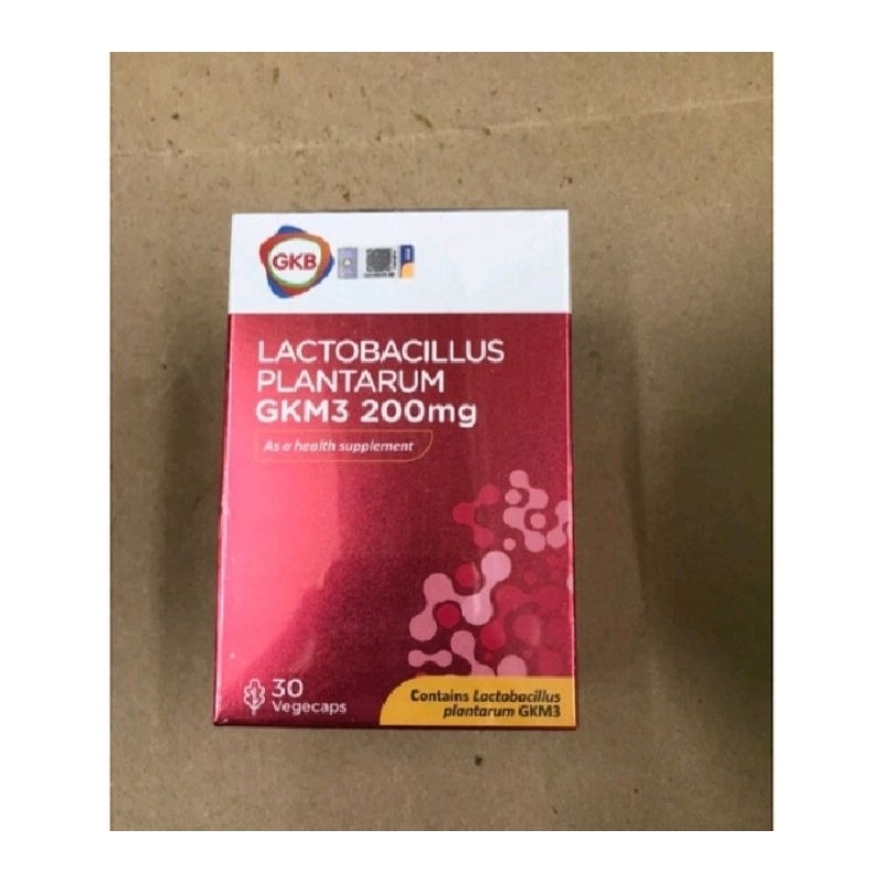 Lactobacillus Plantarum