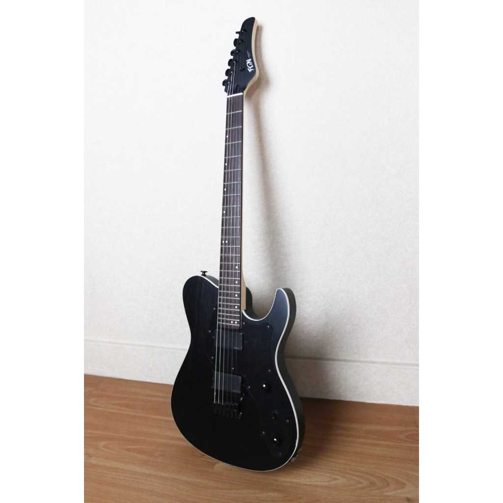 GITAR ELEKTRIK FUJIGEN JIL2ASHDE664R