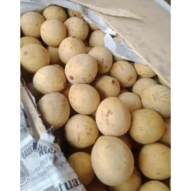 

duku palembang 500 gram