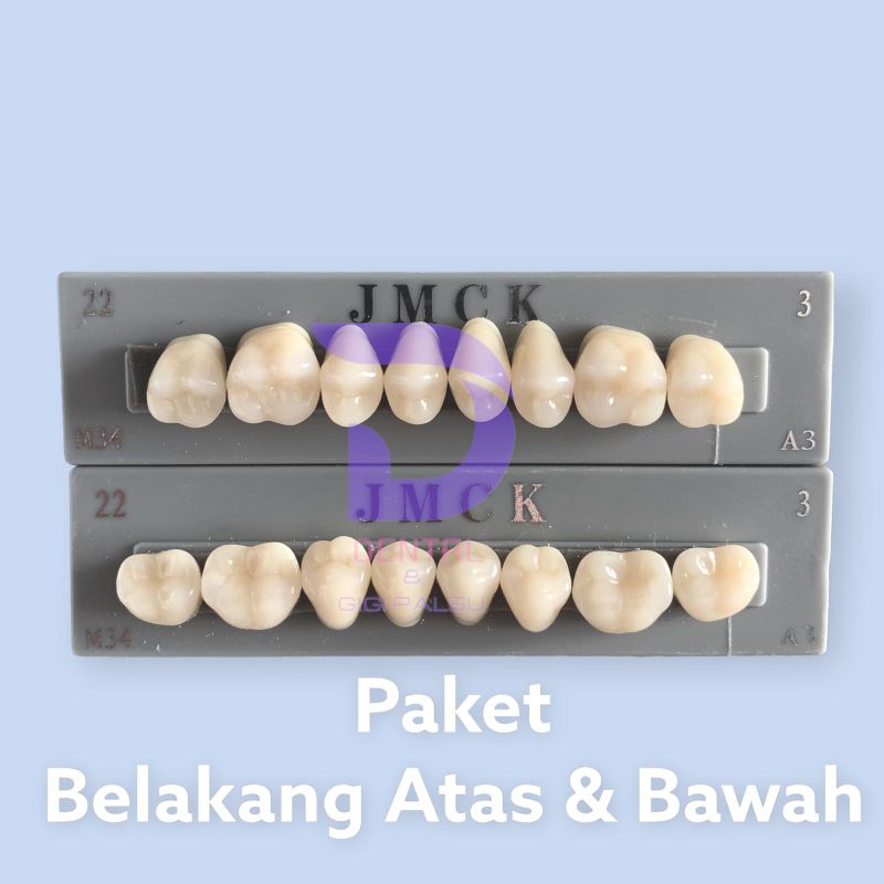 DENTAL PAKET BUNDLING GIGI GERAHAM GIGI PALSU GERAHAM ATAS DAN GERAHAM BAWAH RB7