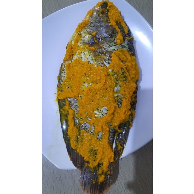 

ikan gurame bumbu kuning / ikan gurame marinasi