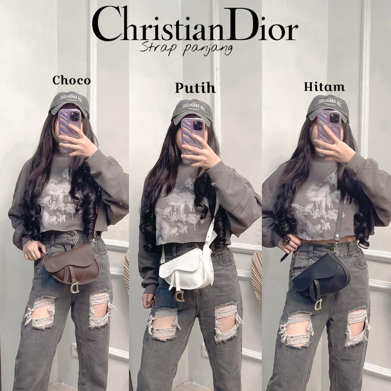 DIOR SADDLE BAG / tas dior ready stok