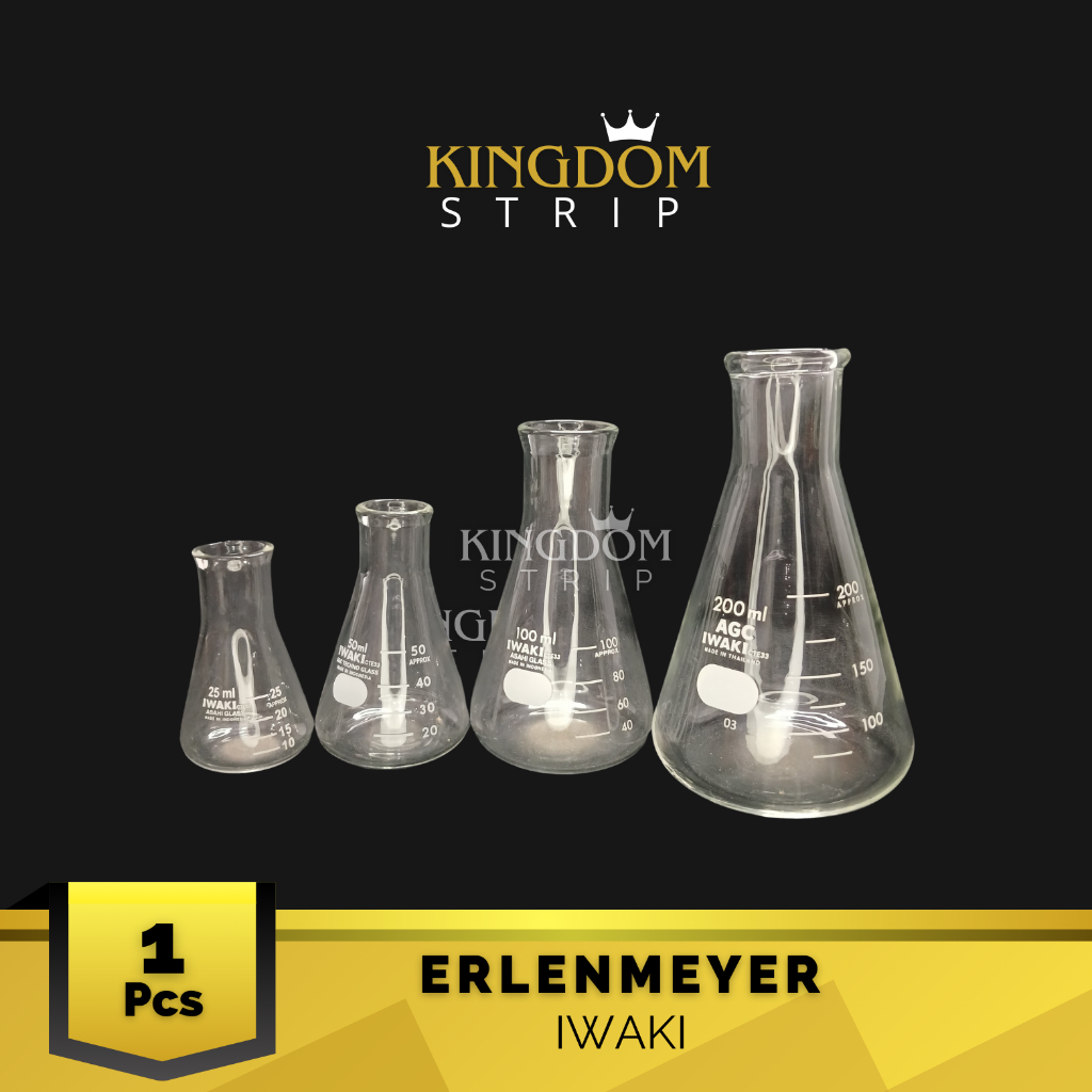 Erlenmenyer Iwaki 100 cc