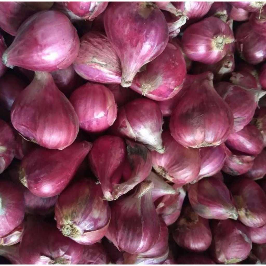 

BAWANG MERAH 1KG