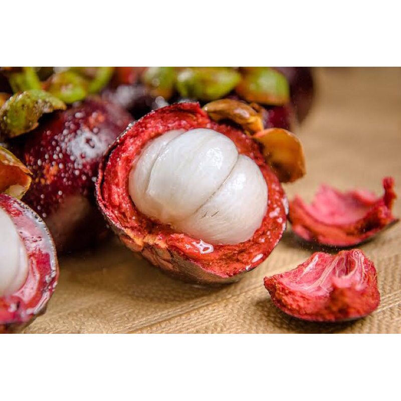 

MANGGIS FRESH SEGAR 500gr READY