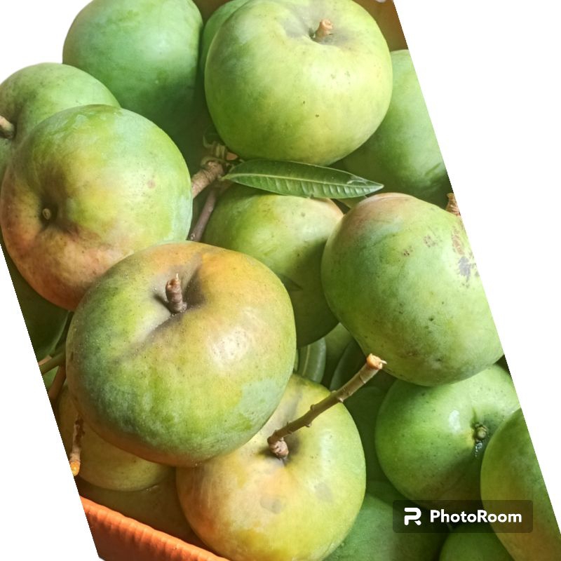 MANGGA APEL GINCU FREES MENTAH /MANGGA APEL GINCU MATENG 1KG