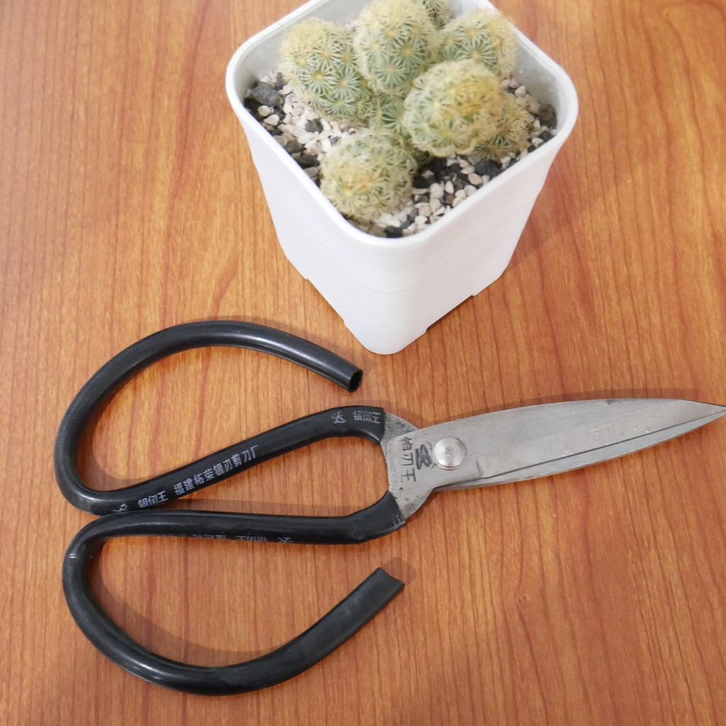 

GUNTING KODOK A3 | Gunting seng | Gunting Kain | Gunting Kertas