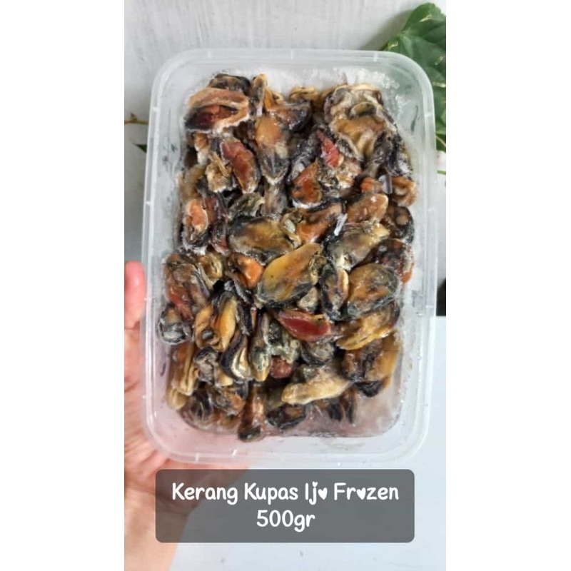 

Kerang Kupas Hijau 500gr