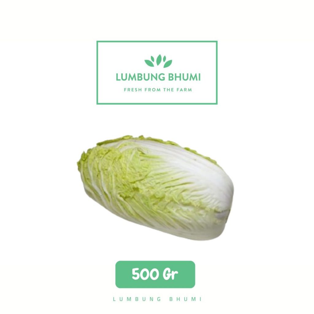 

Sawi Putih Sayur 500 Gr - Lumbung Bhumi