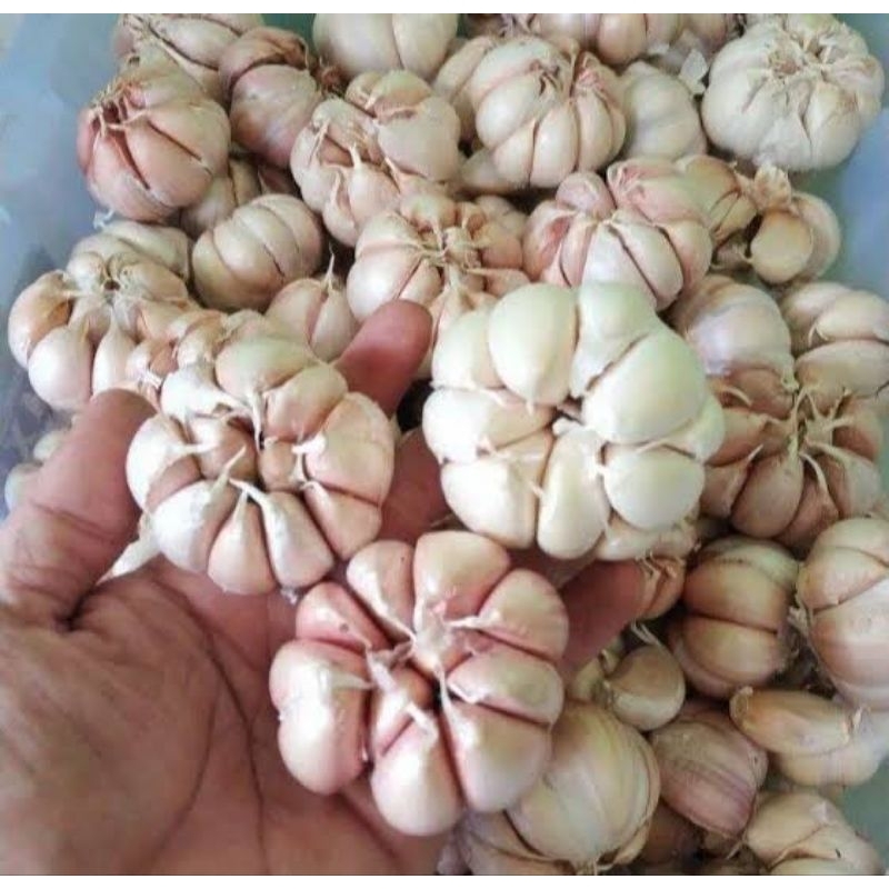

Bawang putih 250g