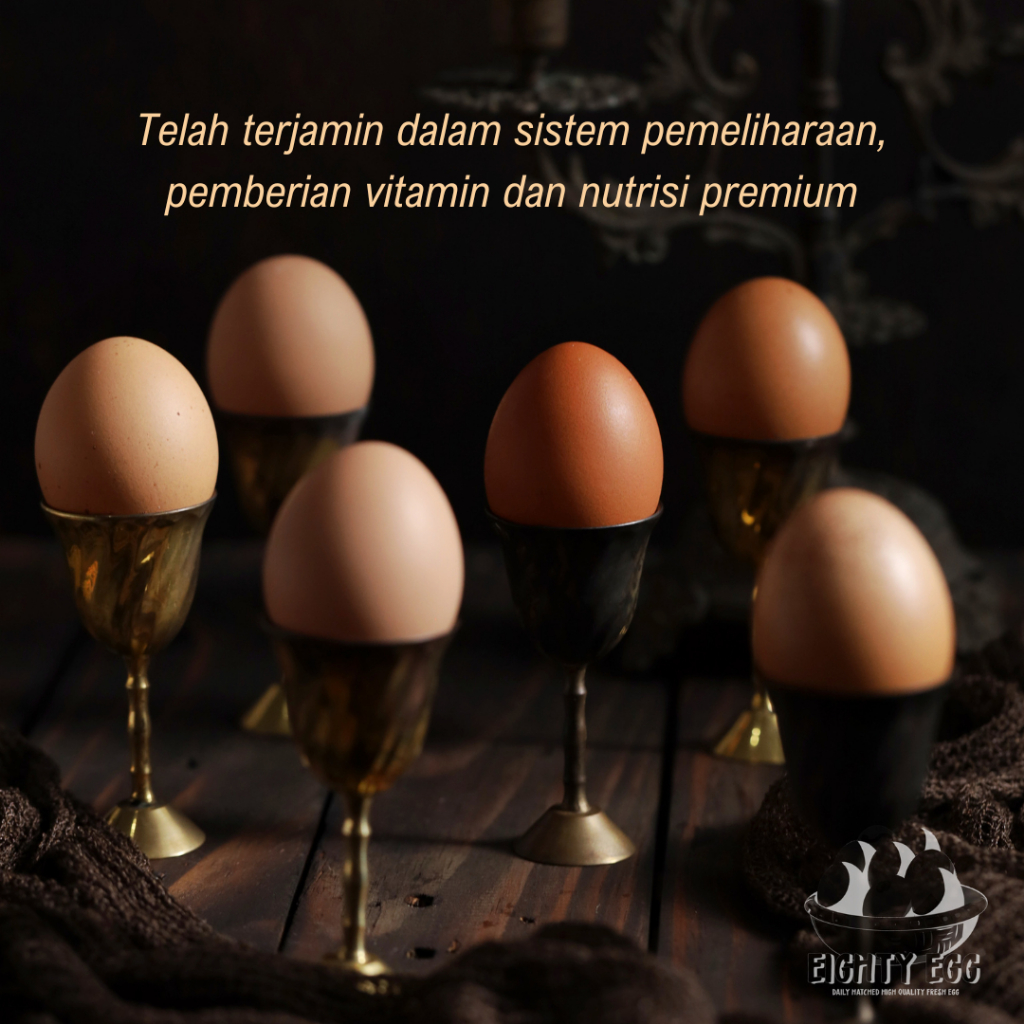 

RB Telur Ayam Negeri OMEGA 3 - 30 pcs GRADE A Fresh Bersih Kualitas Terbaik