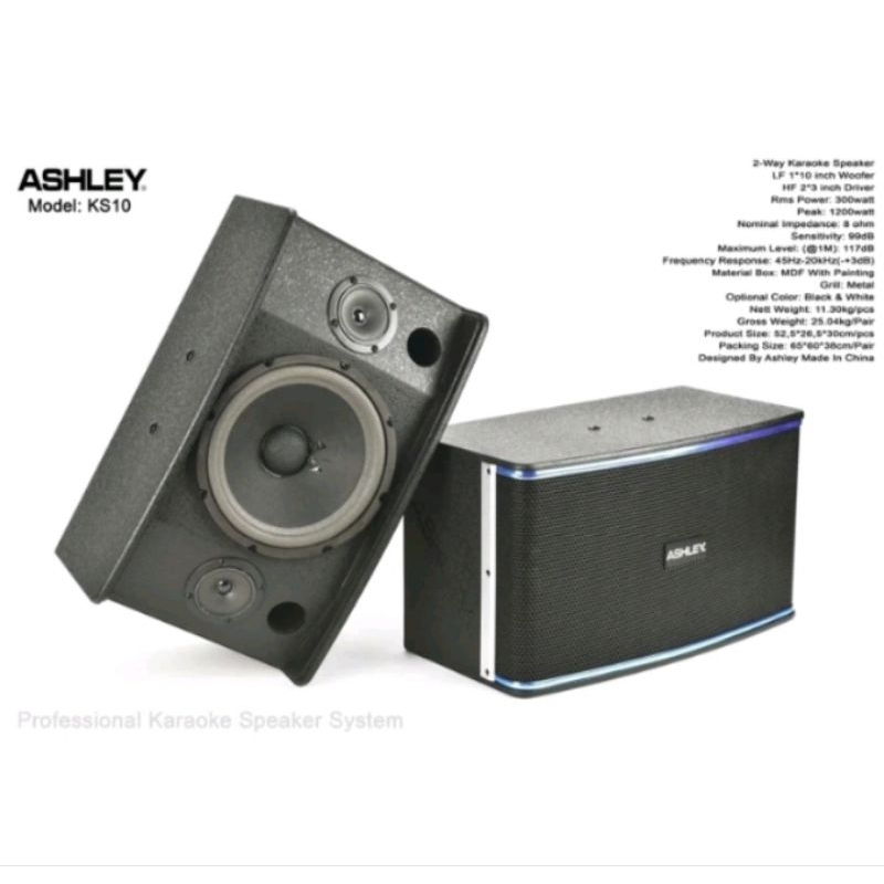 Speaker Pasif 10 inchi Karaoke Profesional Ashley KS 10